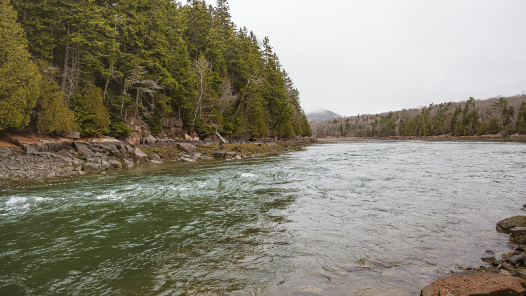 Seasonal Affective Disorder, also known as SAD, a type of depression that's related to changes in seasons, casts a long shadow over many Maine residents