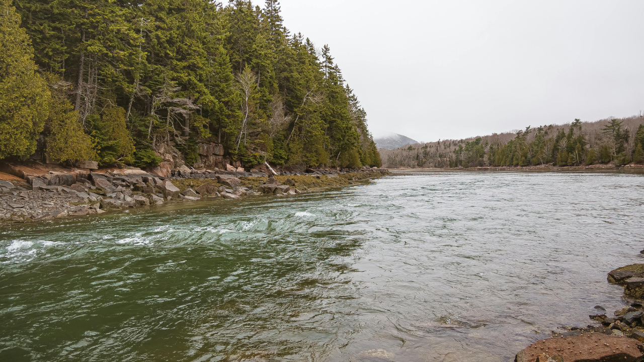 SAD and Addiction in Maine: Understanding the Connection