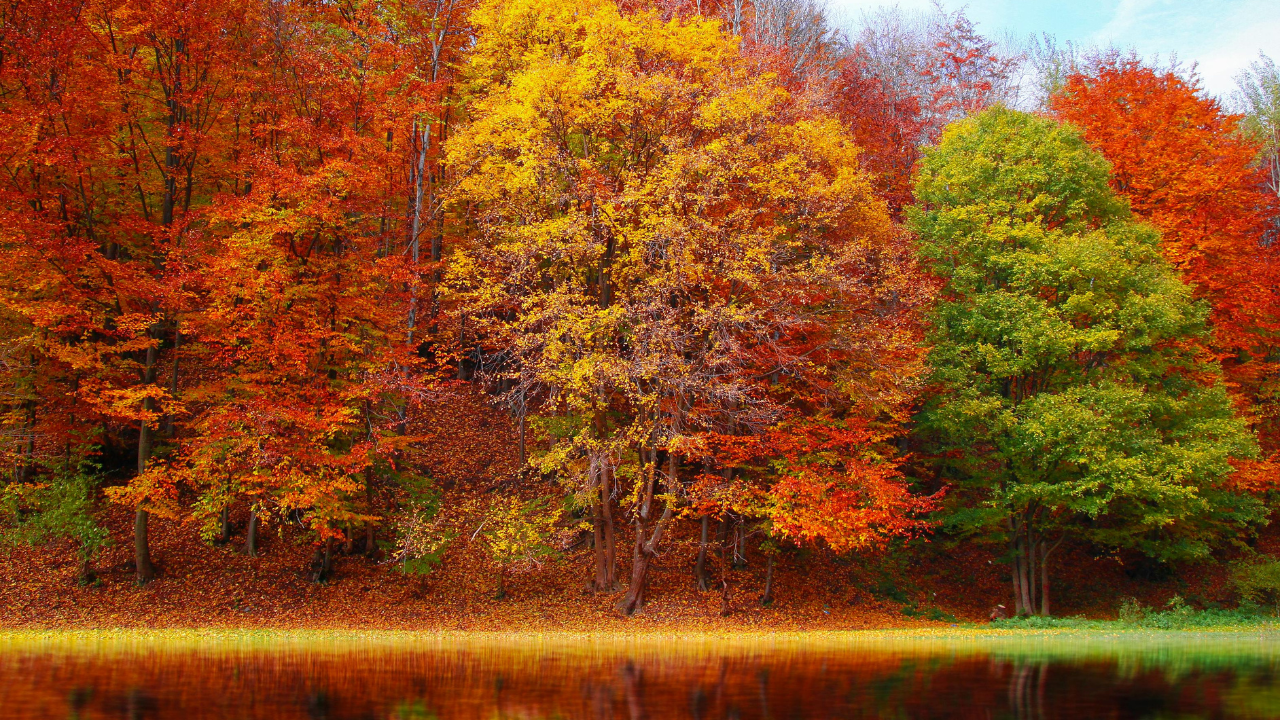 Seasonal Activities Supporting Year-Round Recovery