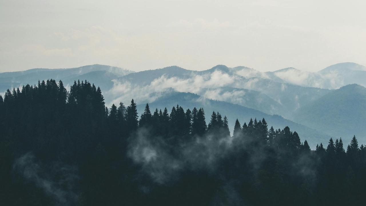 How Maine’s Natural Beauty Supports Healing