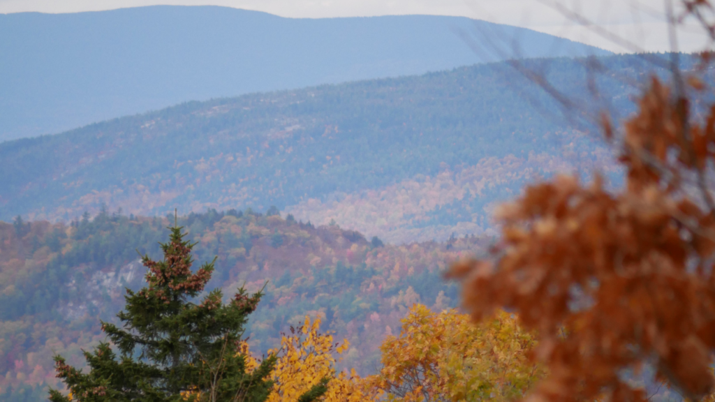 We treat patients from Oxford County in Maine