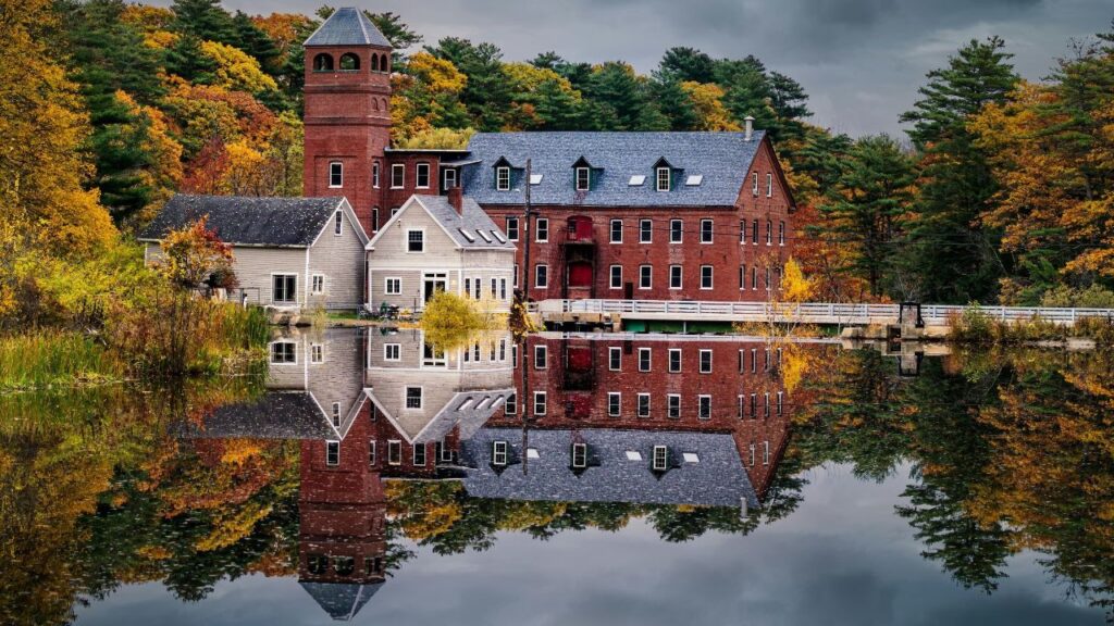 maine forest building