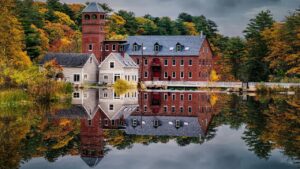 maine forest building