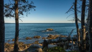 Photo of a scenic shot of the waterfront in Maine. Searching for a drug rehab in Maine that accepts MaineCare? ENSO Recovery provides specialized MAT, outpatient programs, and certified recovery housing.